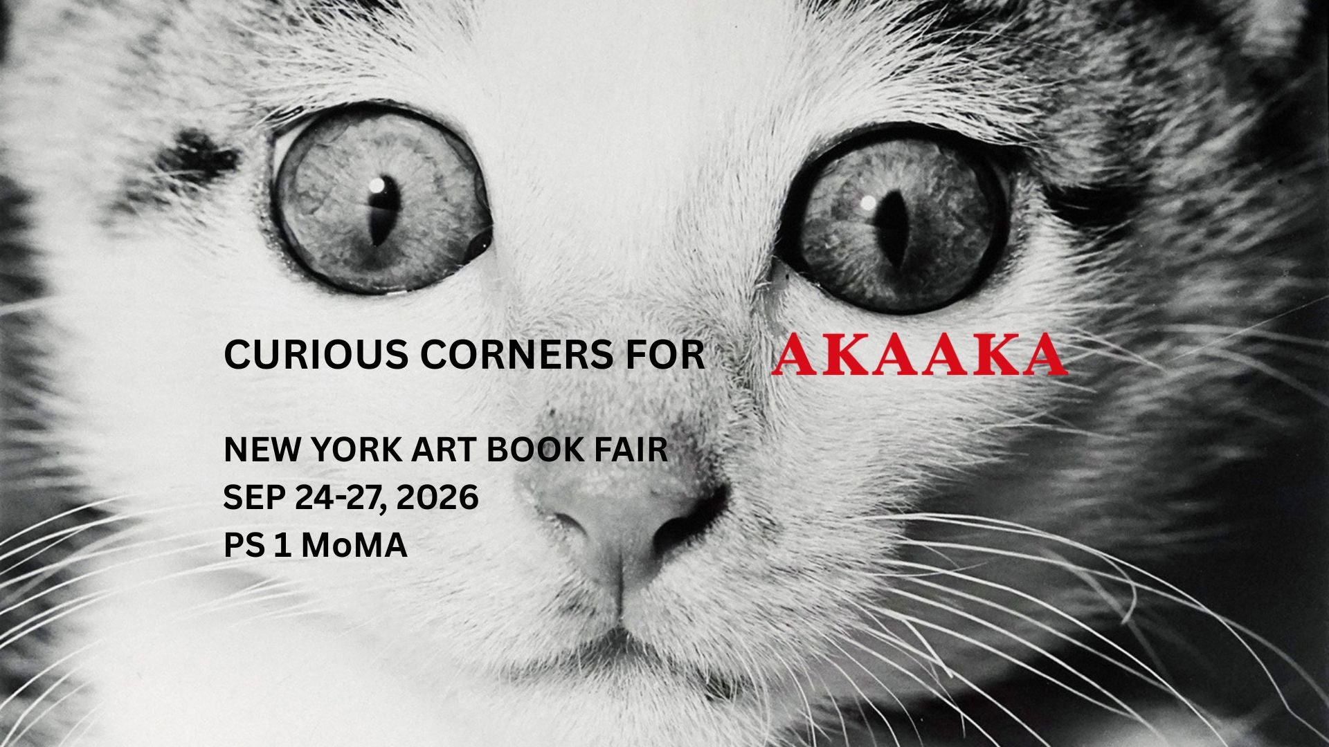 CURIOUS CORNERS CURIOUS CORNERS